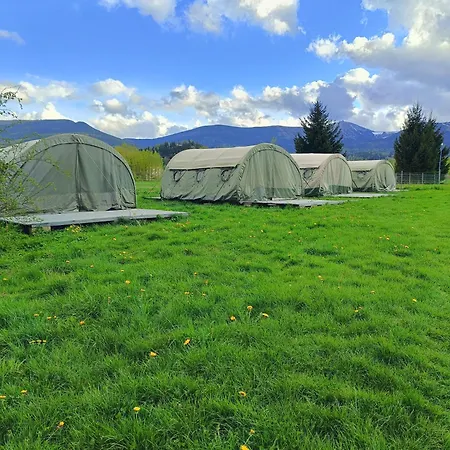 Camp66 *