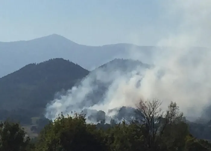 Camp66 Holiday home *